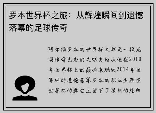 罗本世界杯之旅：从辉煌瞬间到遗憾落幕的足球传奇